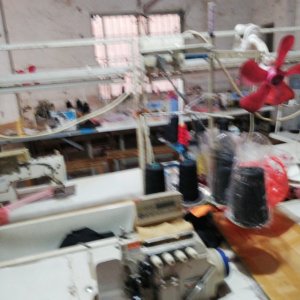 君豪、依丹奴制衣有限公司