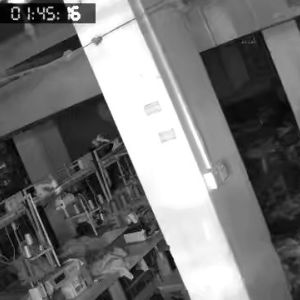 来发制衣有限公司