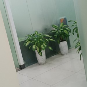 广州艾丽服装加工厂