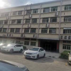 广州正新纺织有限公司