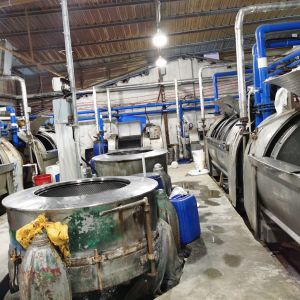 兄弟洗水厂，唐龙