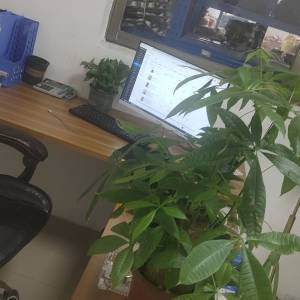 广州沸点服饰有限公司