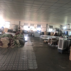 白丽毛衣针织厂