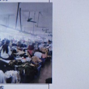 东莞市石龙艺得体制衣厂