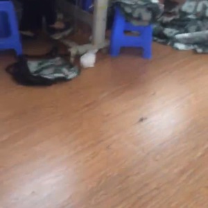 洁骏制衣业