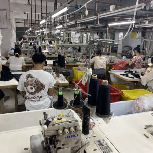 深圳市飘鼎内衣服饰有限公司