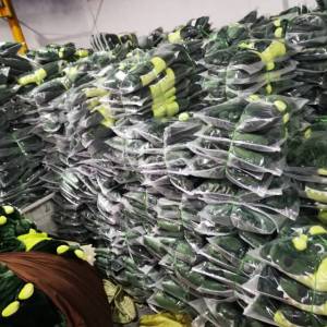 滨州日通纺织品有限公司