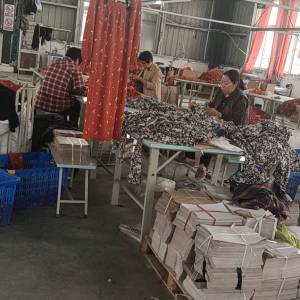 安徽尚彩服饰有限公司