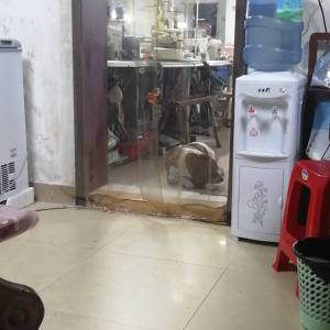 广州双静服饰有限公司