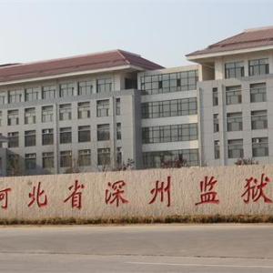 衡水高森商贸有限公司