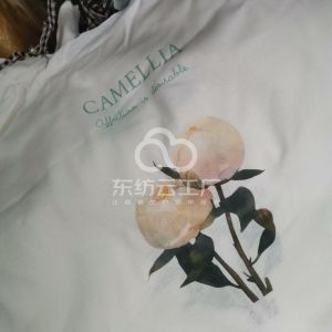 艺彩印花、烫图