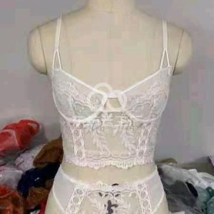 佛山市春色内衣有限公司