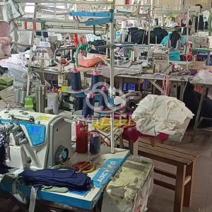 广州市独舞服饰有限公司