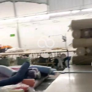 法戴夫服装有限公司