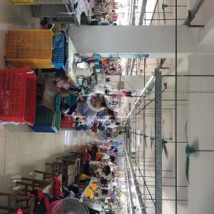 中山市青宇鑫服饰有限公司