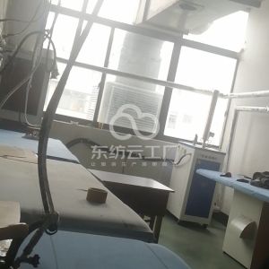 桐星投资有限公司