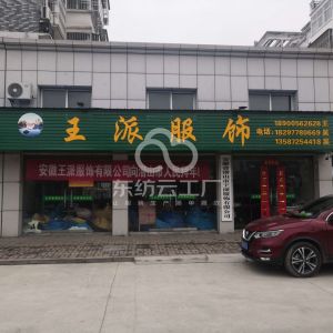 王派服饰有限公司