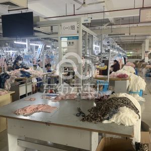 安徽鸿叠寅实业（集团有限公司）