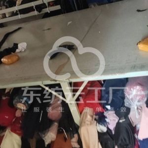 上犹县伊丽制衣厂