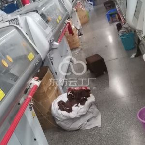 英佳毛织制衣厂