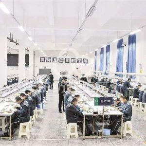 吉林特殊人群代加工