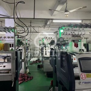 东莞德意毛织厂