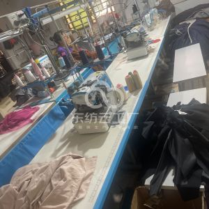 东莞市逸蝶制衣有限公司