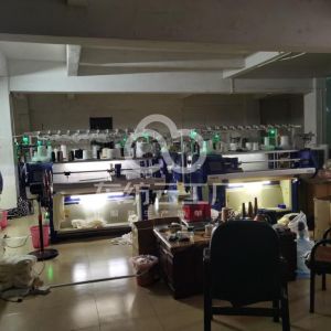 仲鑫毛织有限公司