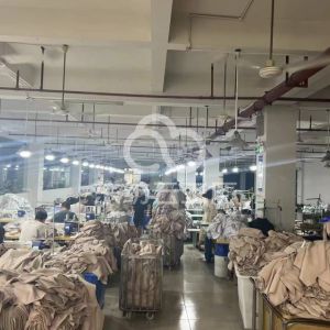 中山市洛琳蒂诺服饰有限公司