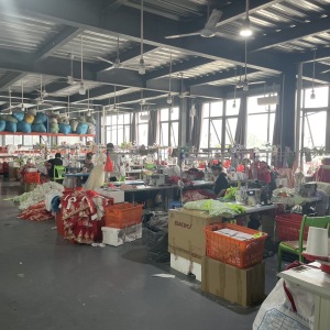 汕头市艺强服装厂