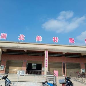 湖北省维特服饰