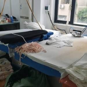 二月二服装有限公司