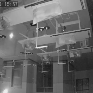 茂名盛惠服装厂