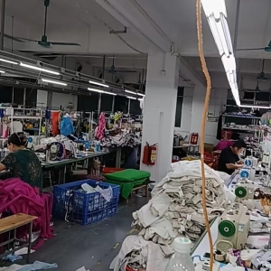 湖南省常德市燕子服饰