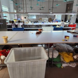 东莞市鑫圣服饰有限公司