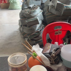 向日葵裤子加工厂