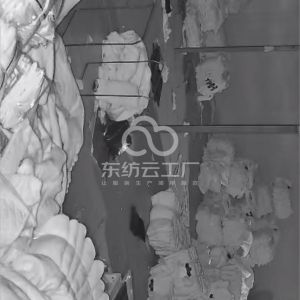 连云港小昕柠服饰有限公司