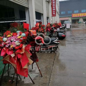 龙茂服饰有限公司