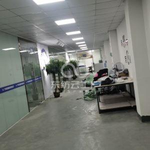 广州市新涛格服饰