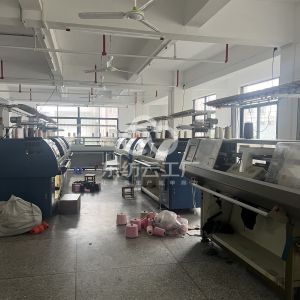 汕头市龙湖区容谷斯服饰有限公司