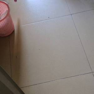 东莞市华盛达服饰有限公司