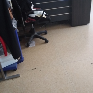 广州太森服装有限公司