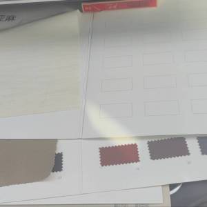 陕西芭莎服饰设计有限公司