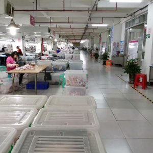 广州金宝圣荟科技有限公司