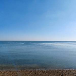 服装加工搬运工