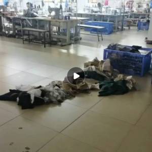 东莞市阁兰服饰有限公司