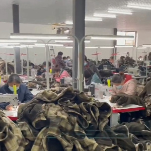 山东彩衣制衣有限公司