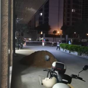 东莞市大朗苑佳纺织厂