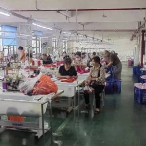 丹利莱（东莞）有限公司