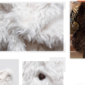 直播女装 寻毛毛面料厂家